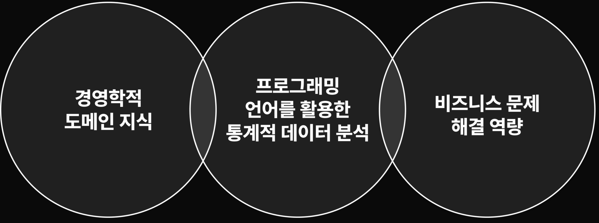 경영학적 도메인 지식, 프로그래밍 언어를 활용한 통계적 데이터 분석, 비즈니스 문제 해결 역량