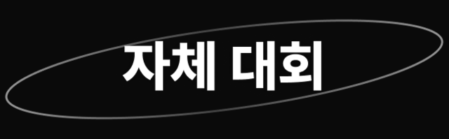자체 대회